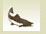 fish icon